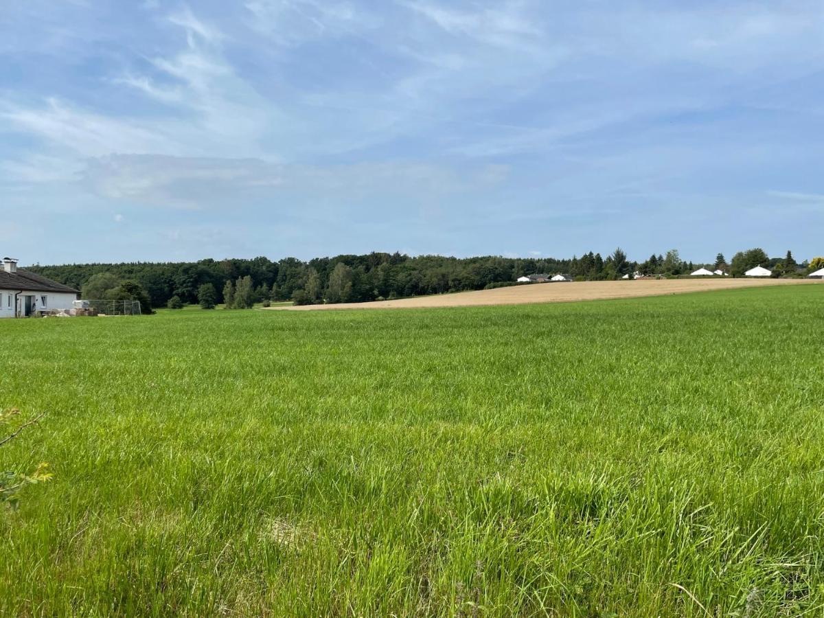 Ferienhaus Hunsrueckliebe Liederbach  Dış mekan fotoğraf