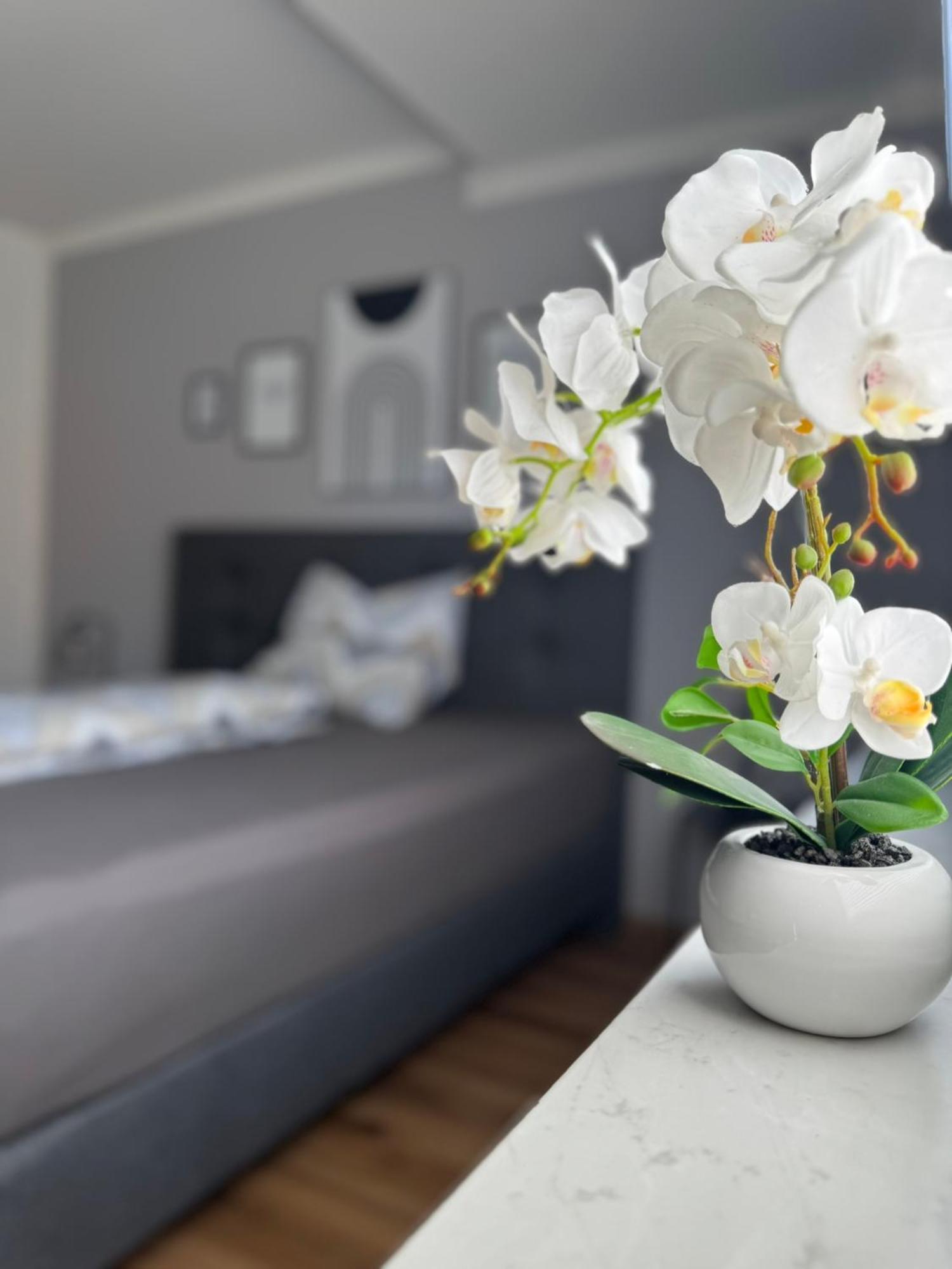 Ferienhaus Hunsrueckliebe Liederbach  Dış mekan fotoğraf